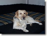 J� �ek�m........