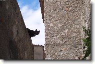 Jsem prost� zv�dav�