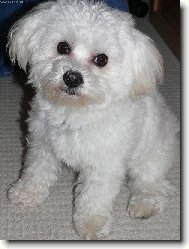 J� ty ba�kory nerozkousal...