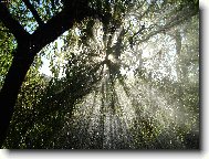 N�hle se mi rozjasnilo...