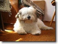 Pro� m� bud�te?