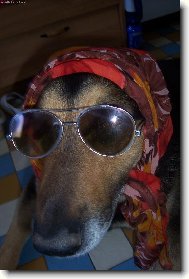 a ted se m��u slunit