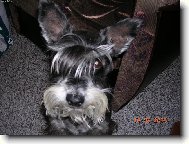 Pros�m, pros�m, smutn� kouk�m