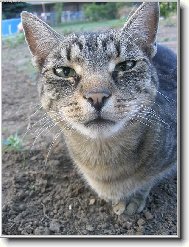 Kde m�m ty br�le...