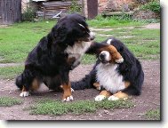 Nekoukoukej se na m�!!!