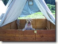 j� miluju t�bory