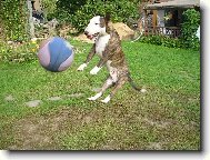 sk��u dob�e,sk��u r�d