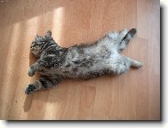 Zaslou�en� odpo�inek