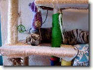 takhle se odpo��v� na �krabadle..