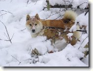 M�m r�d sn�h moc a moc...