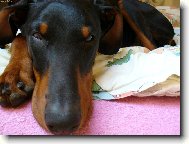 na�e dobrwoman Viki