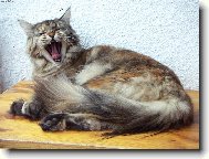 Nuda, nuda, �e�, �e�...