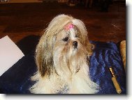 Kam jste zase v�ichni �li?