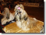 To jsem zv�dav�,kdo to bude dneska...