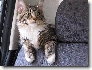 Maru�ka jede na dovolenou k babi�ce.