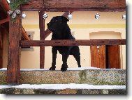 Argo od Koterovsk�ho ml�na