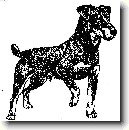 N�meck� loveck� terier