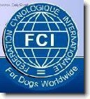 Mezin�rodn� organizace ps�