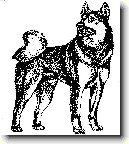 Z�padosibi�sk� lajka