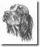 Pikardsk� oha� dlouhosrst�