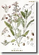 �alv�j L�ka�sk�