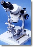 Um�l� inseminace