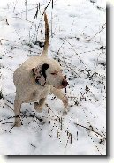 Zkou�ky oha�� v �R