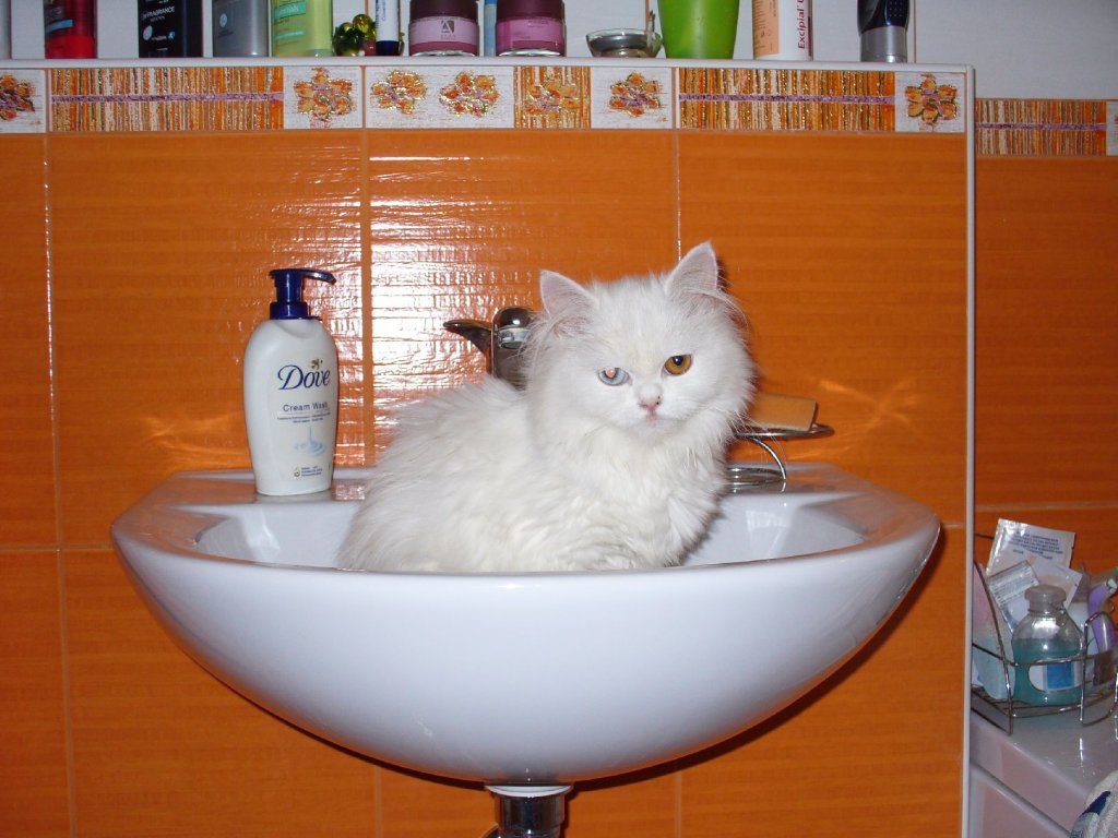 Foto: hygiena je z�klad