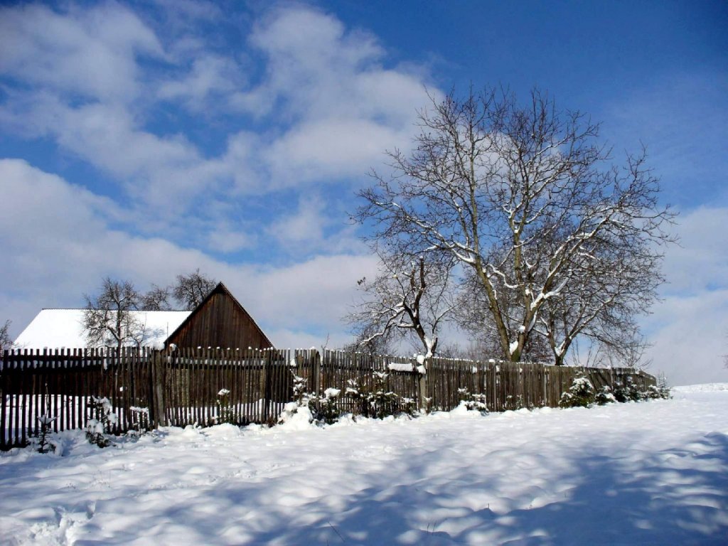 Foto: prvn� sn�h...