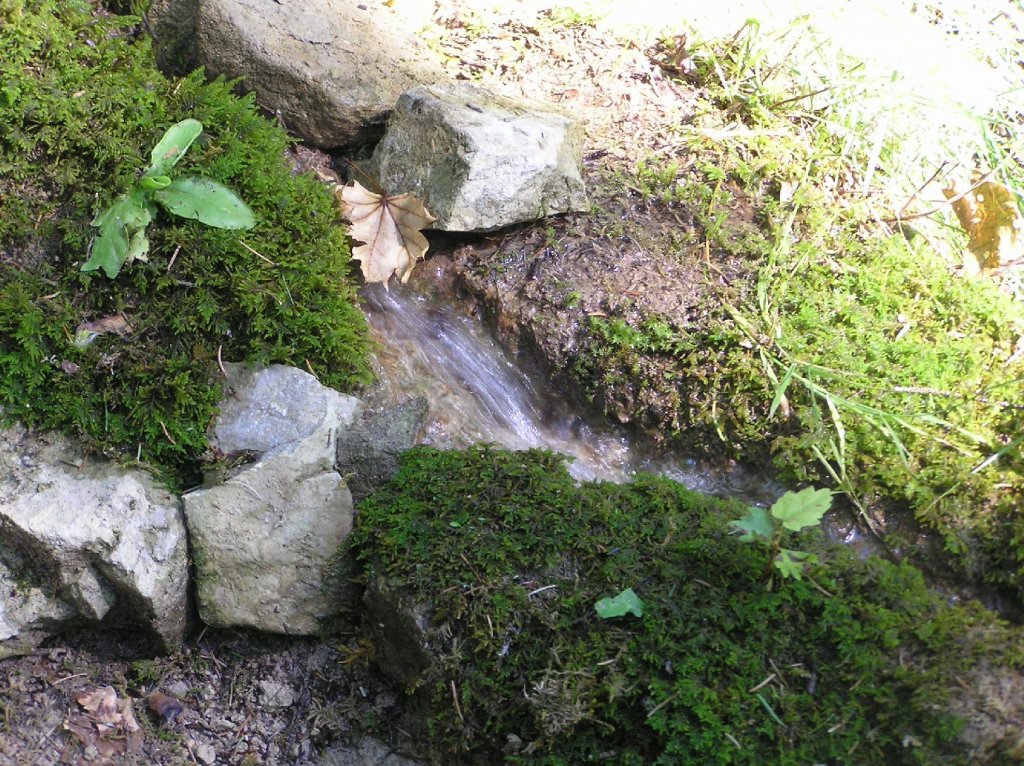 Foto: Te�e vod�nka...