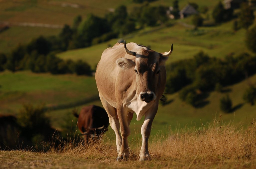 Foto: st�edovka :)