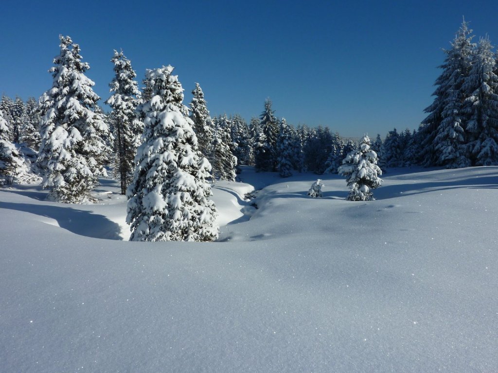 Foto: posledn� z�chv�v zimy 2