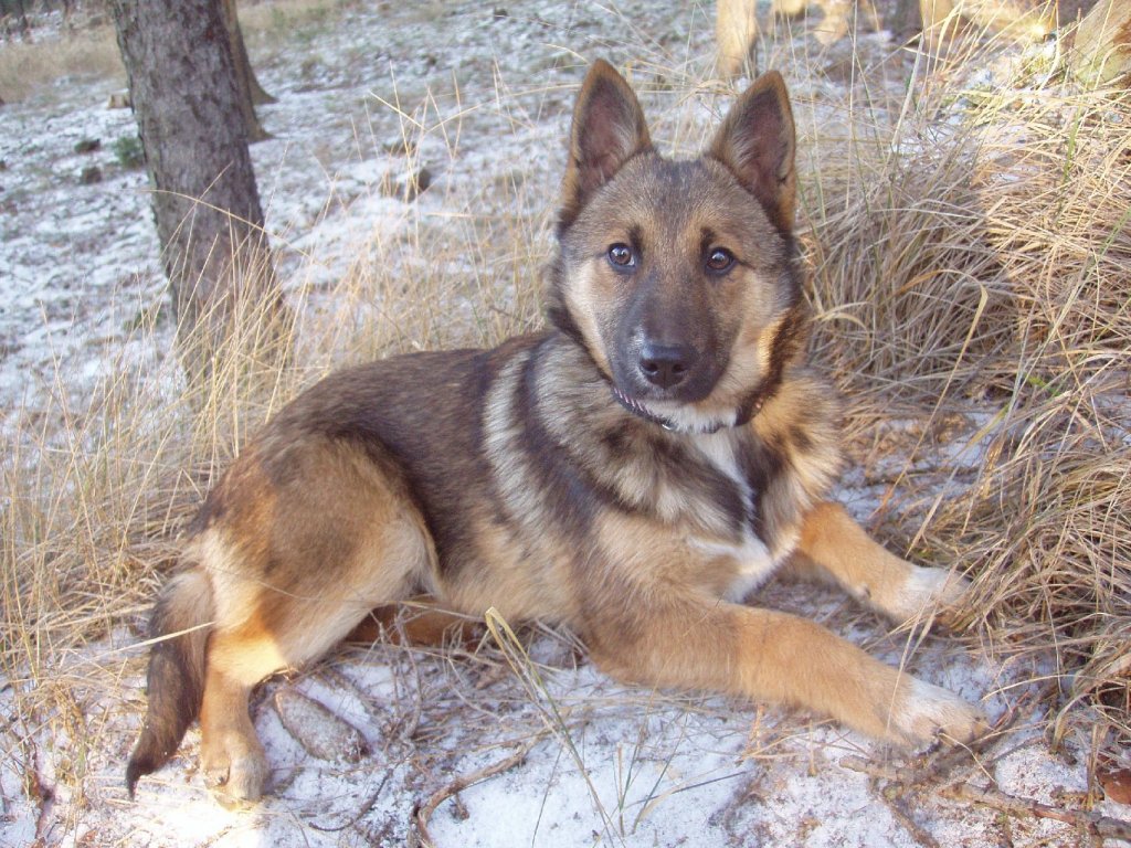 Foto: Ketty na vych�zce