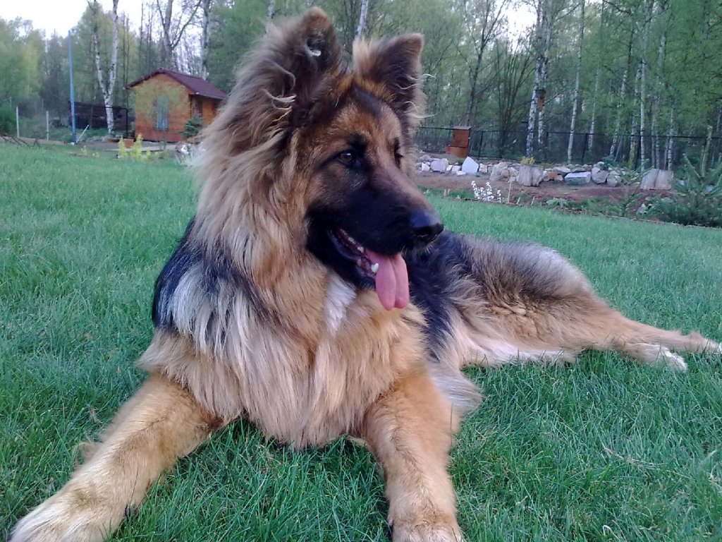 Foto: Dixinka 9m�s�c�