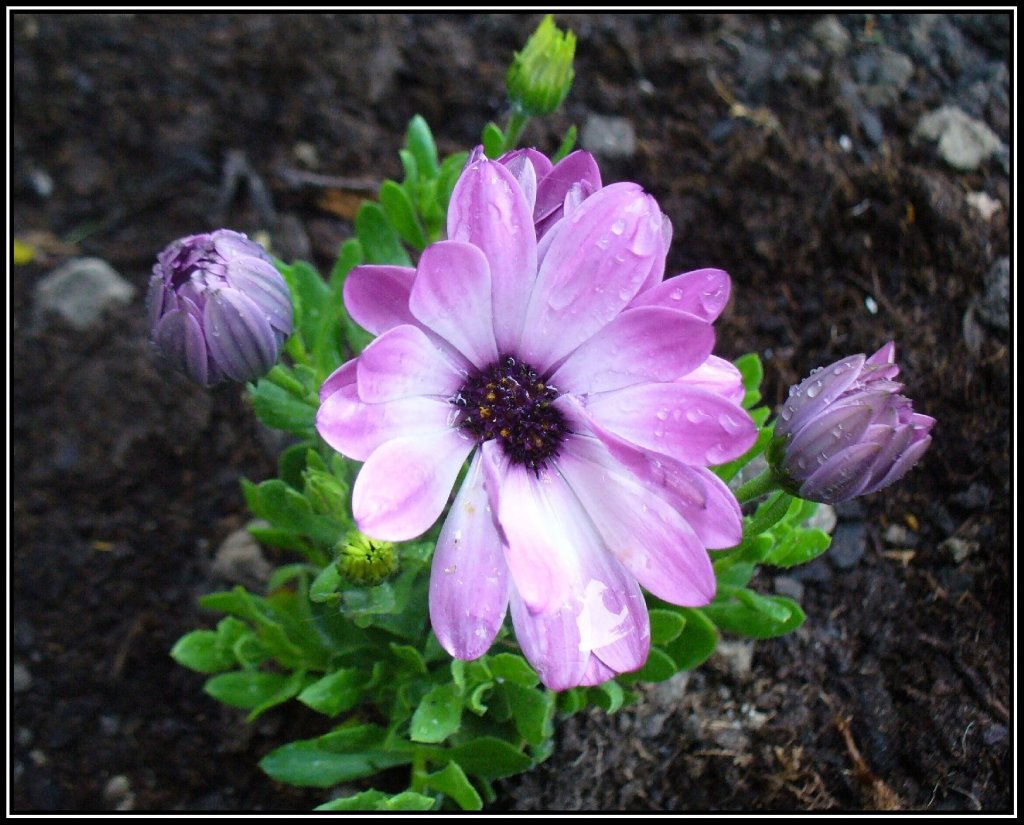 Foto: D�t�m zkropen�