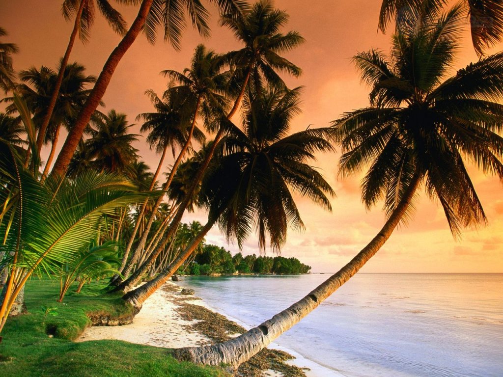 Foto: Blue Lagoon Resort Beach, Micronesia