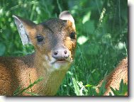 Tapety na plochu: 725