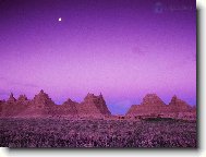 Tapety na plochu: 2580