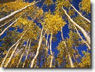 Tapety na plochu: 3422