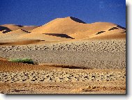 Tapety na plochu: 1337