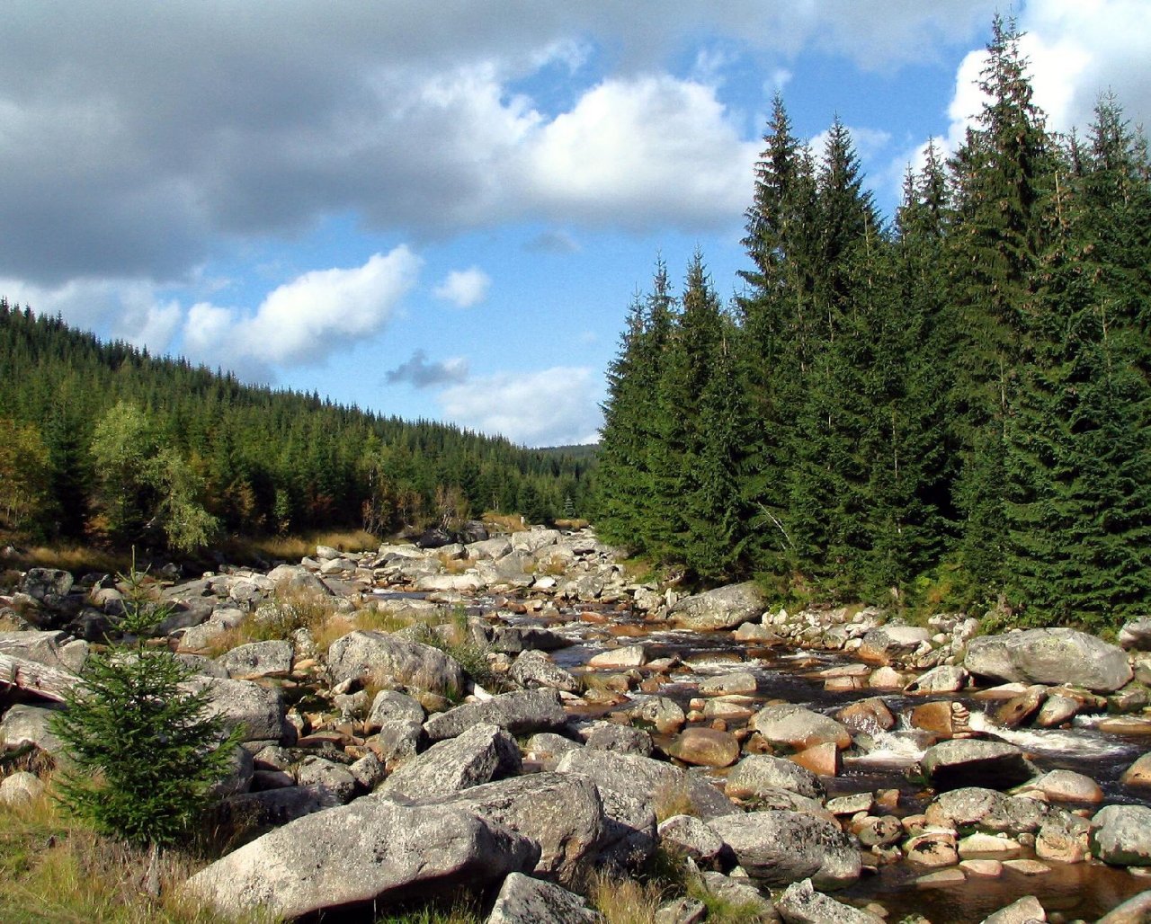 Foto: hrani�n� �eka