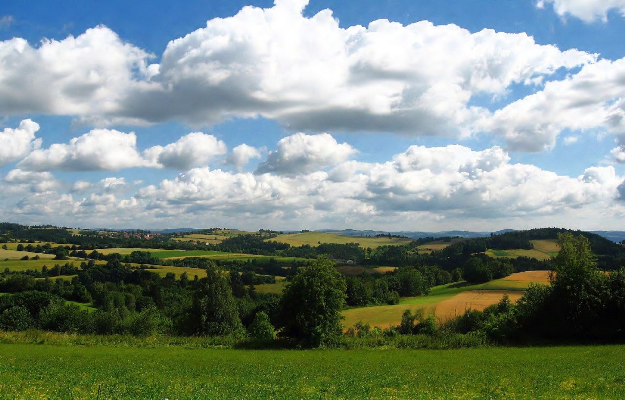 Foto: Halasovo Kun�t�cko