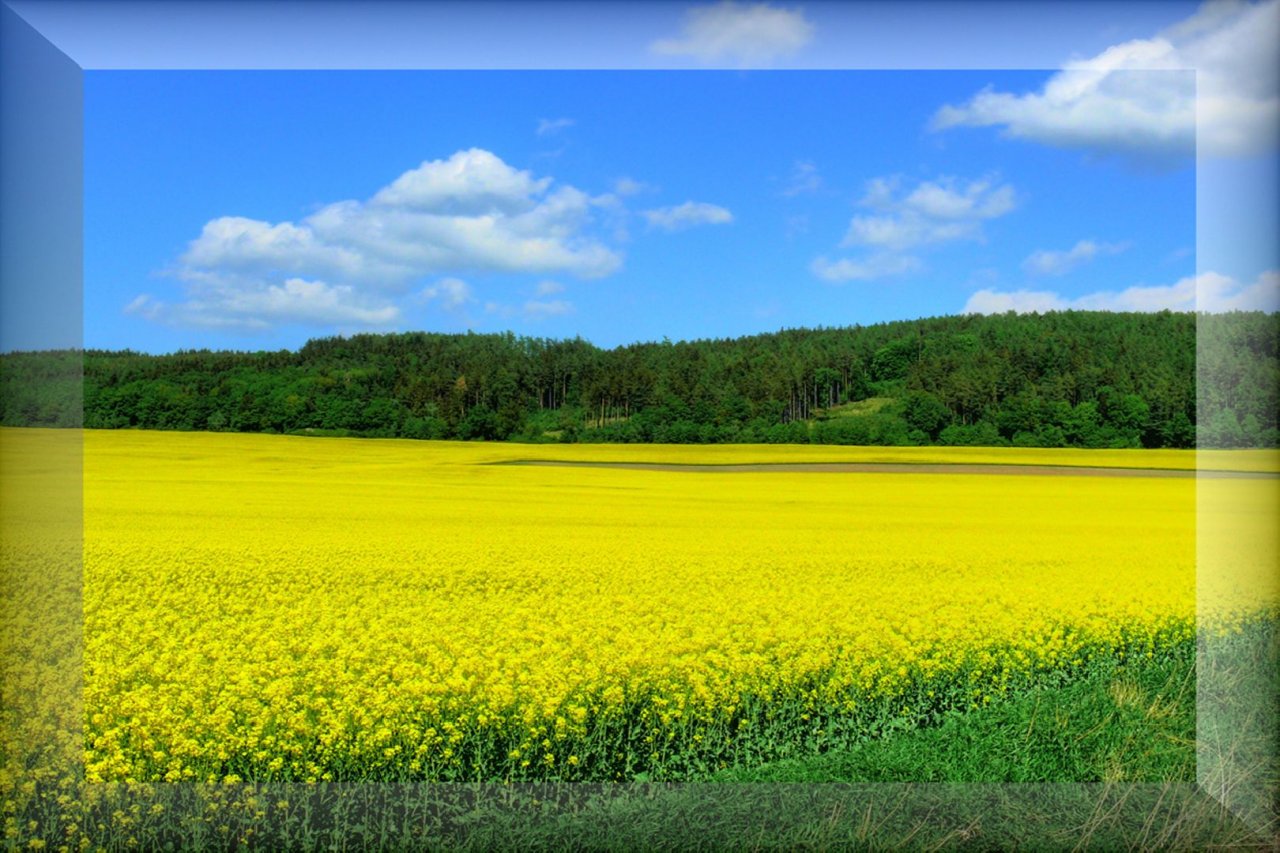 Foto: p��roda tak� maluje