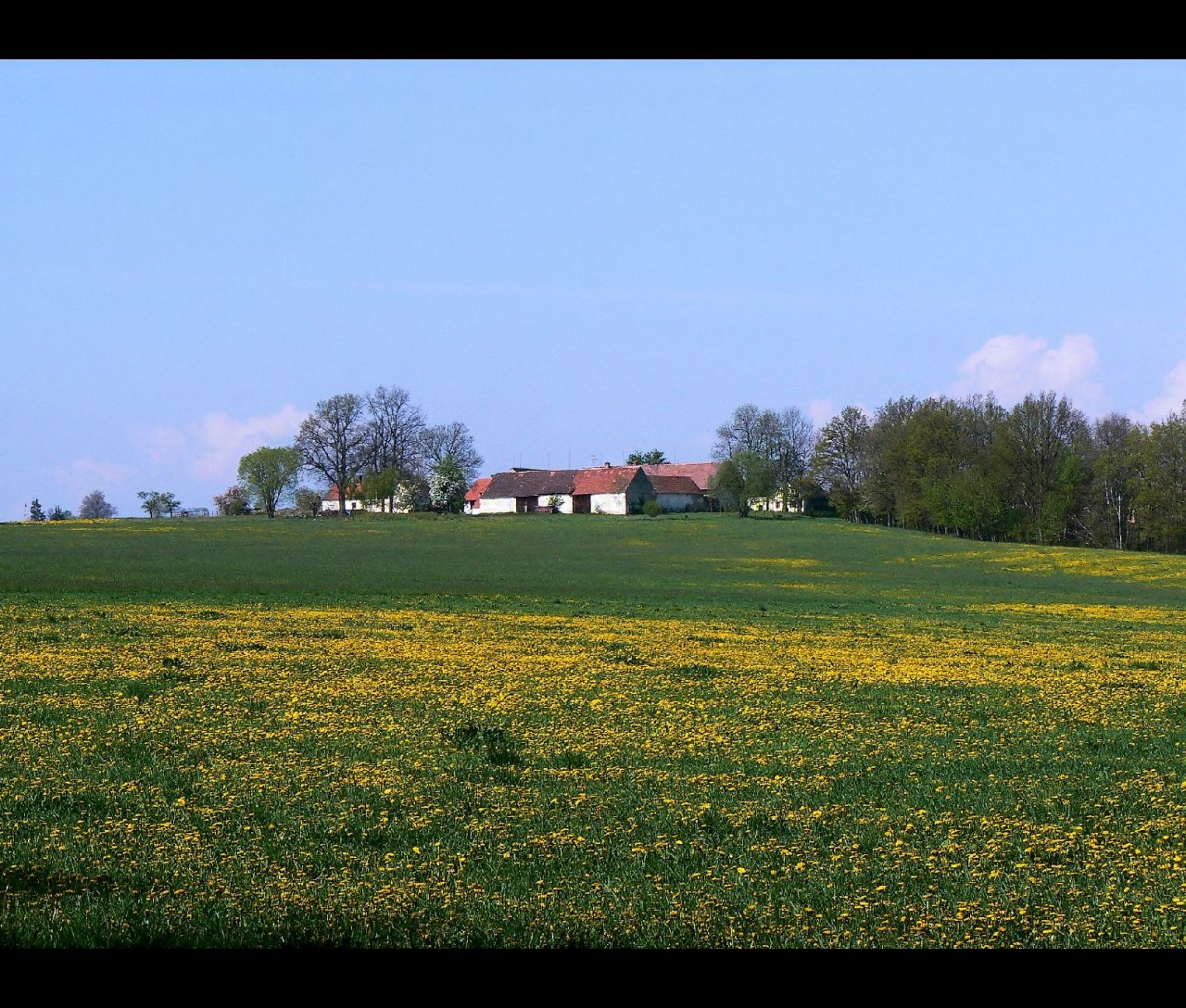 Foto: ji�n� �echy