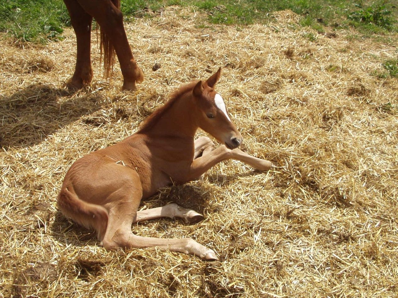 Foto: Te� odpo��v�m!