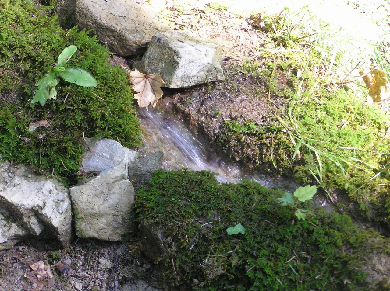 Foto: Te�e vod�nka...