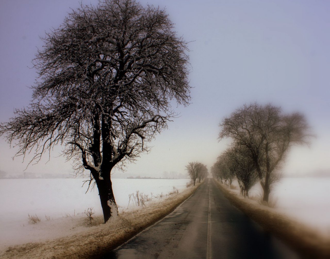 Foto: Silnice na Nem�lkov