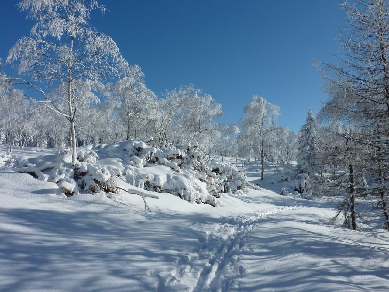 Foto: posledn� z�chv�v zimy