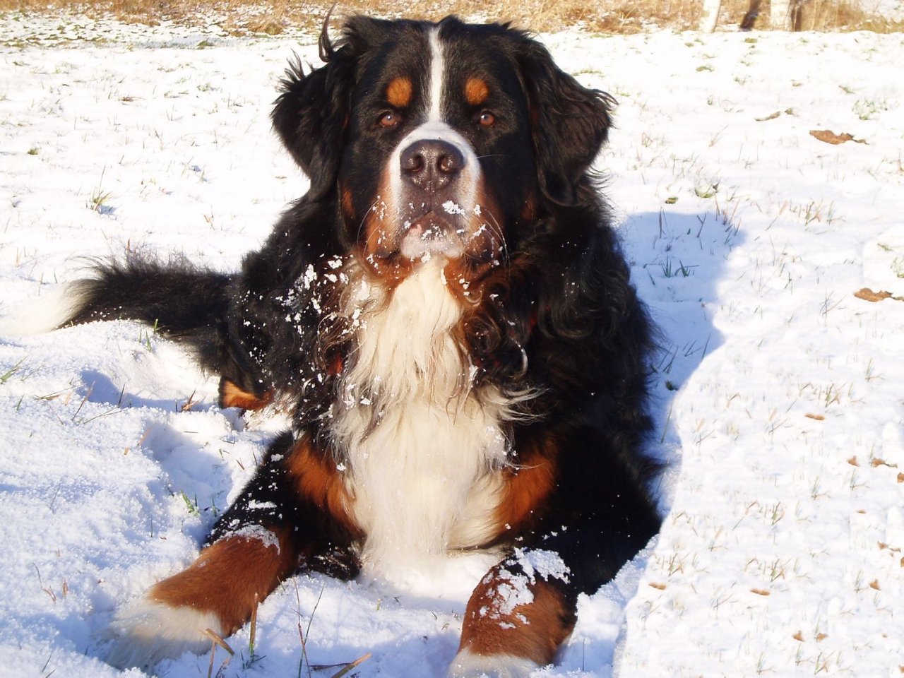 Foto: sn�hov� pohodi�ka