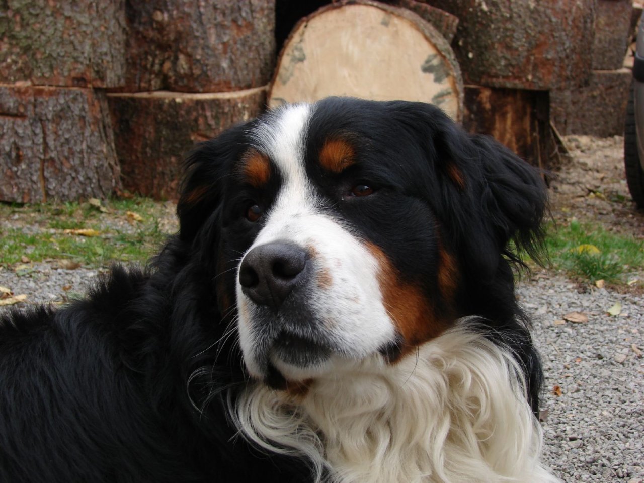 Foto: takhle kouk� ten m�j Jim